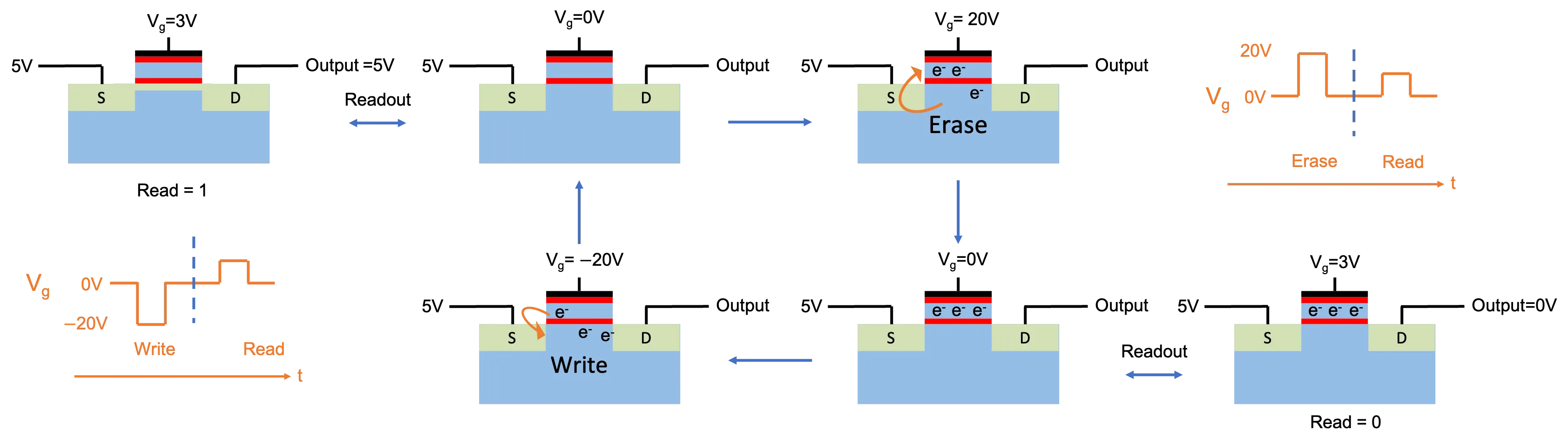 Flash-memory write, read, and erase cycle