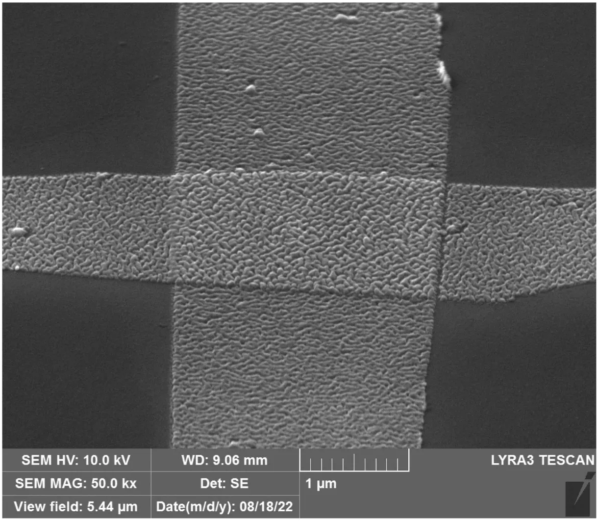 Bankson et al.: SEM image of a Manhattan junction crossing, 50 kx, 1 micrometre scale bar