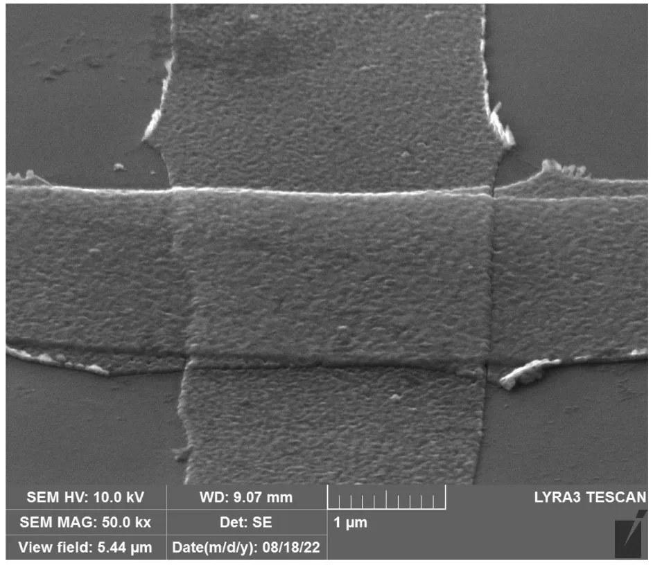 Bankson et al.: SEM image of a second Manhattan junction crossing, 50 kx, 1 micrometre scale bar
