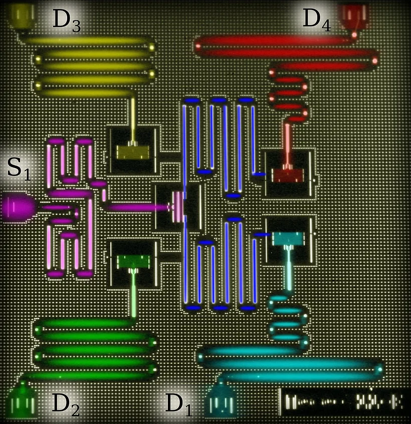 IBM chip micrograph: four colored readout resonators D1 to D4 and S1 around the qubits