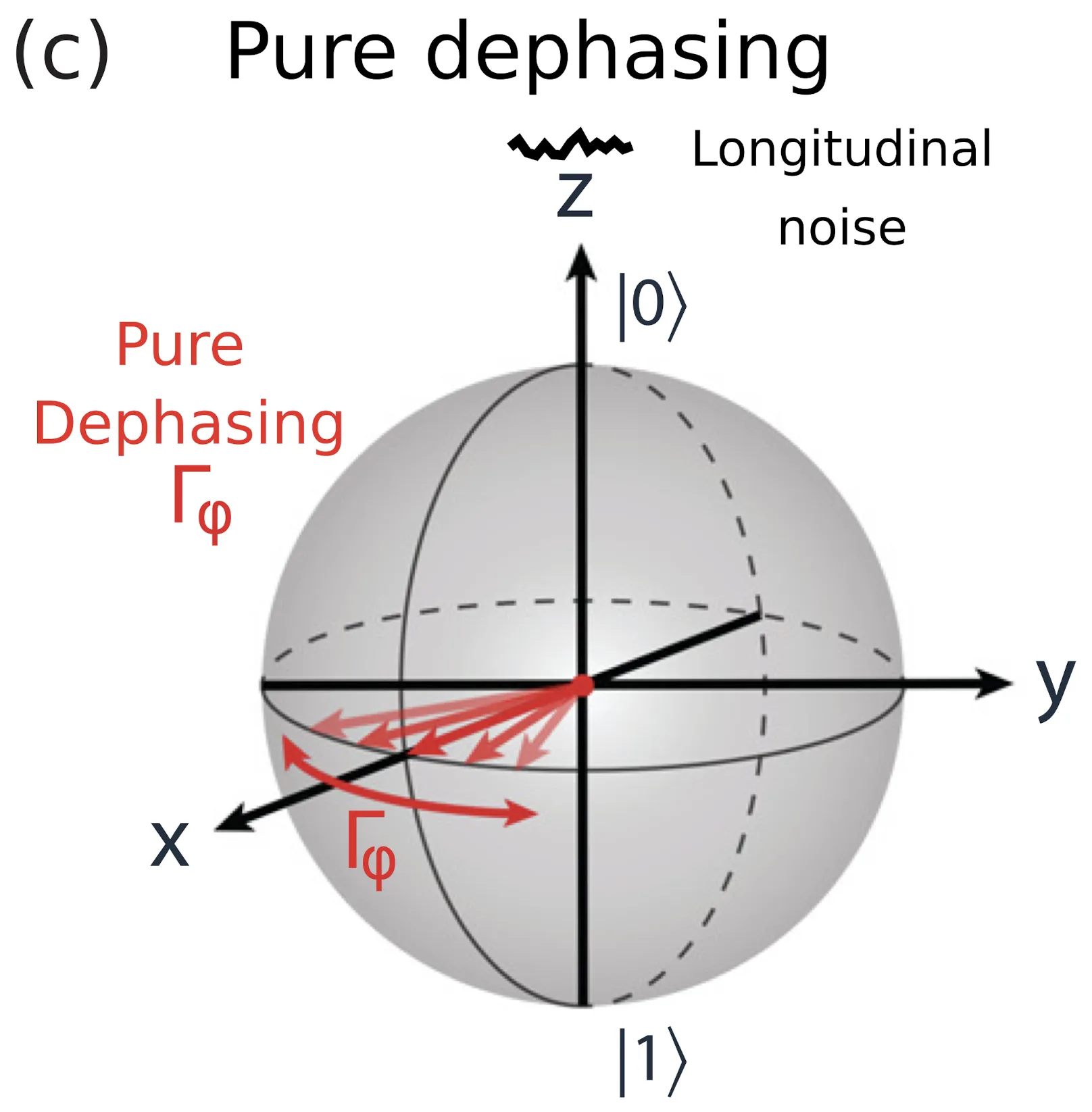 Bloch sphere with longitudinal noise along z: the Bloch vector on the equator diffuses back and forth around the z axis, pure dephasing at rate Gamma phi