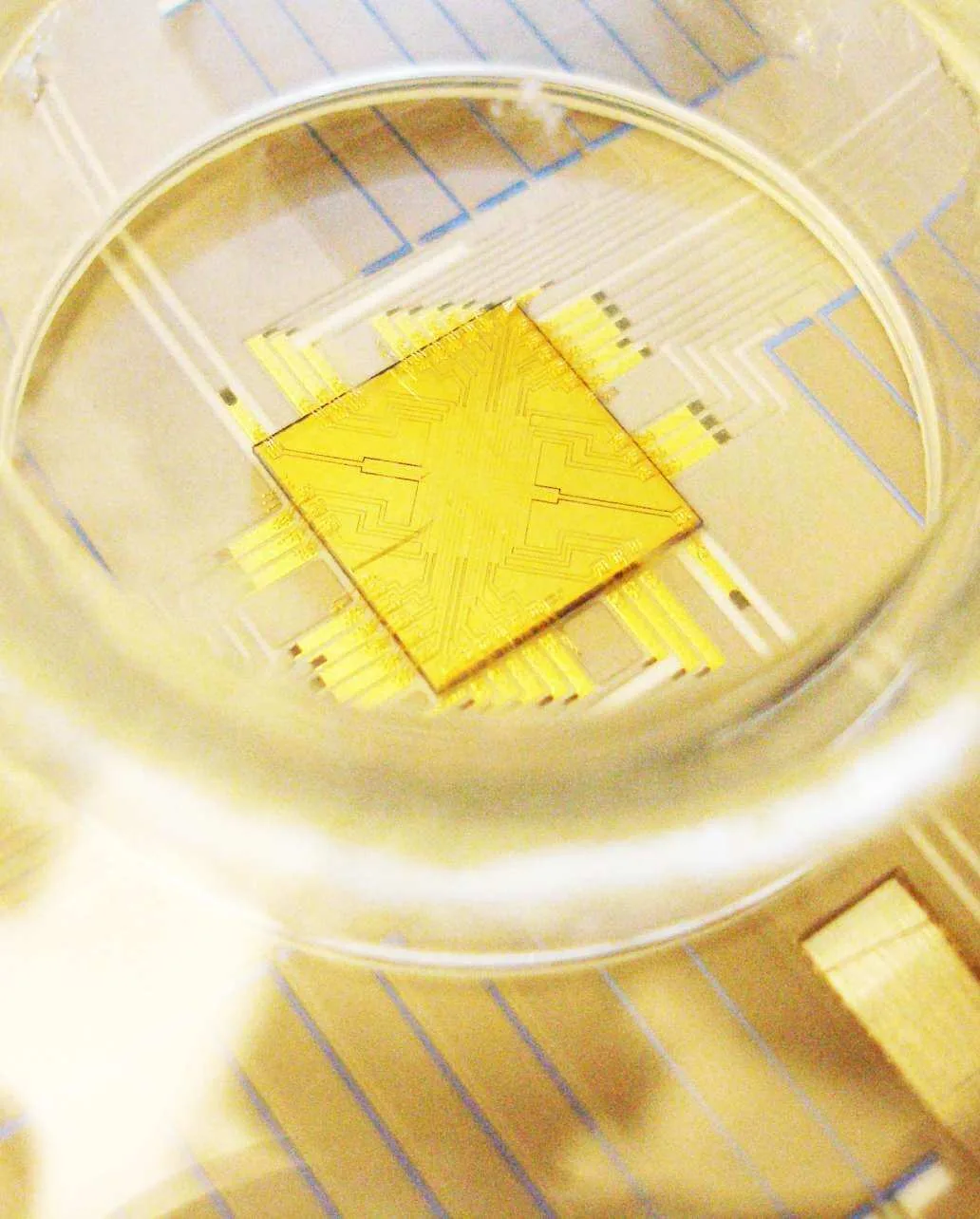 "Close-up of a chip"