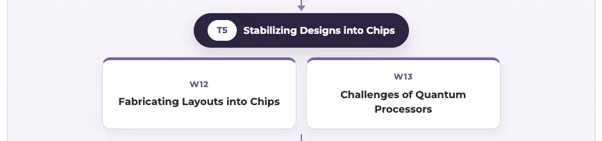 T5 roadmap: Stabilizing Designs into Chips