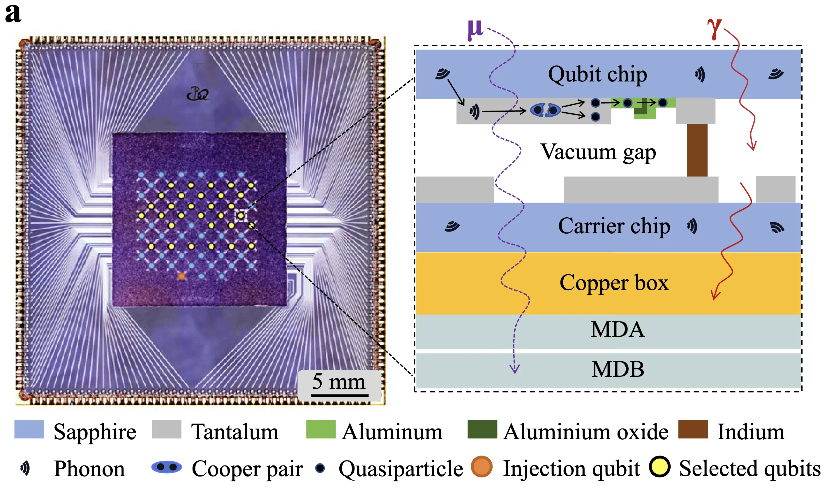 Qubit array chip photo and the flip-chip stack (qubit chip, vacuum gap, carrier chip, copper box, muon detectors MDA and MDB) with a muon and a gamma ray passing through, phonons breaking Cooper pairs into quasiparticles