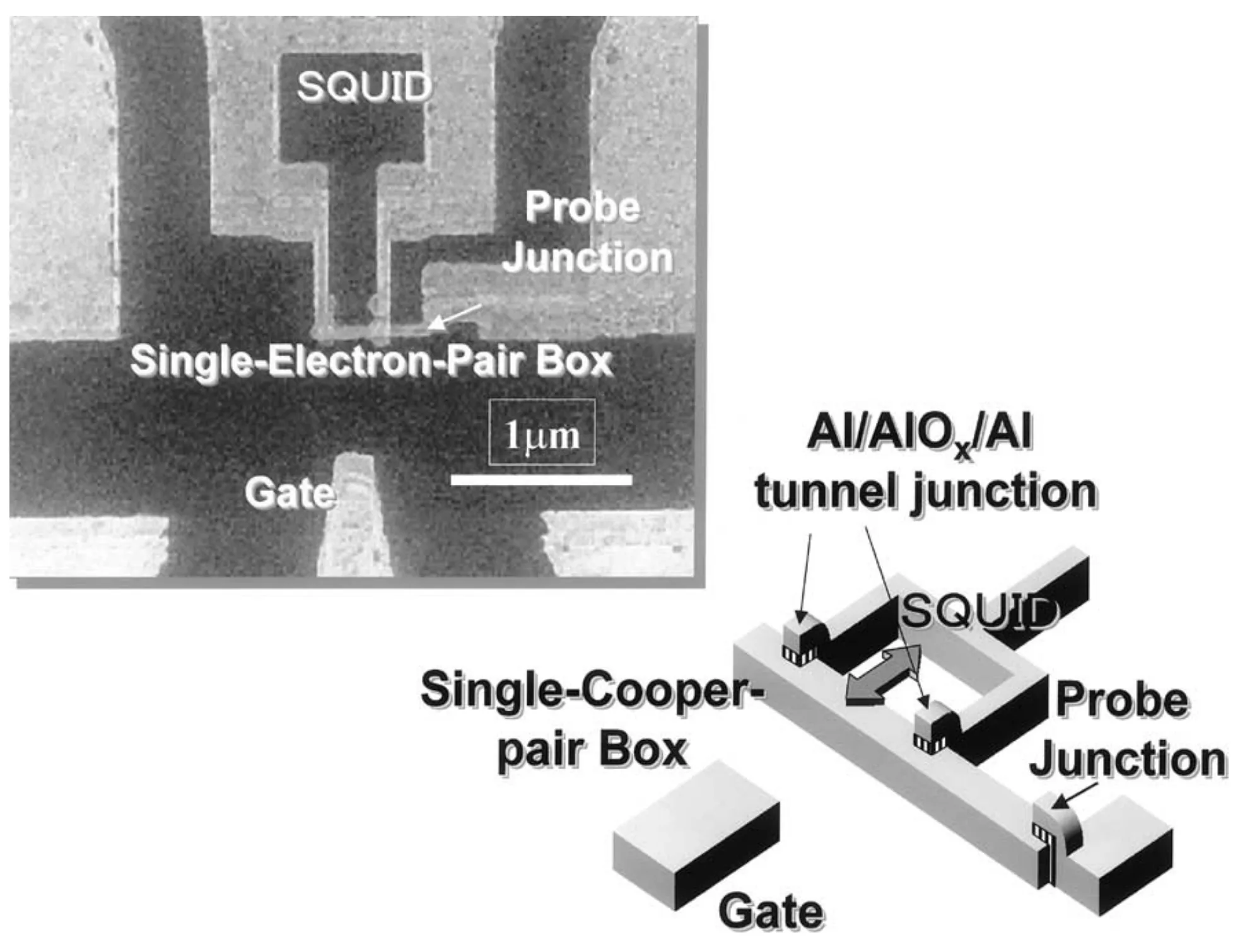 Micrograph and three-dimensional schematic of the same kind of box, showing that its junction is a two-junction SQUID loop, with the gate and the probe junction marked