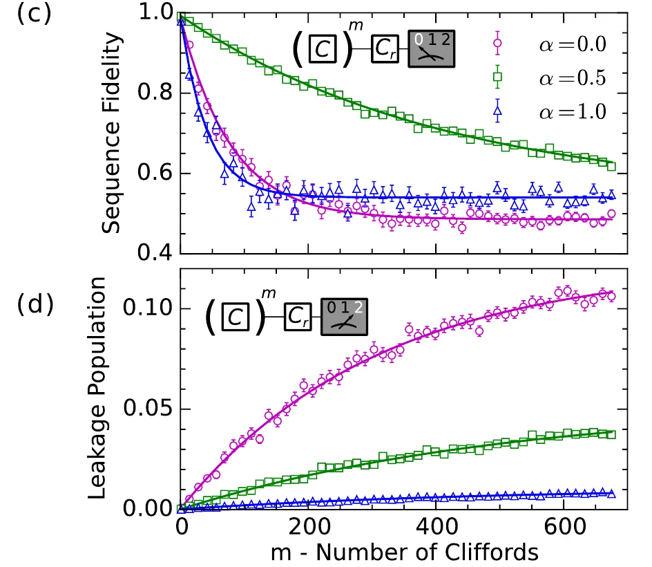 Chen Figure 1c and 1d. Half-weight DRAG improves sequence fidelity, while full-weight DRAG reduces leakage more without detuning.