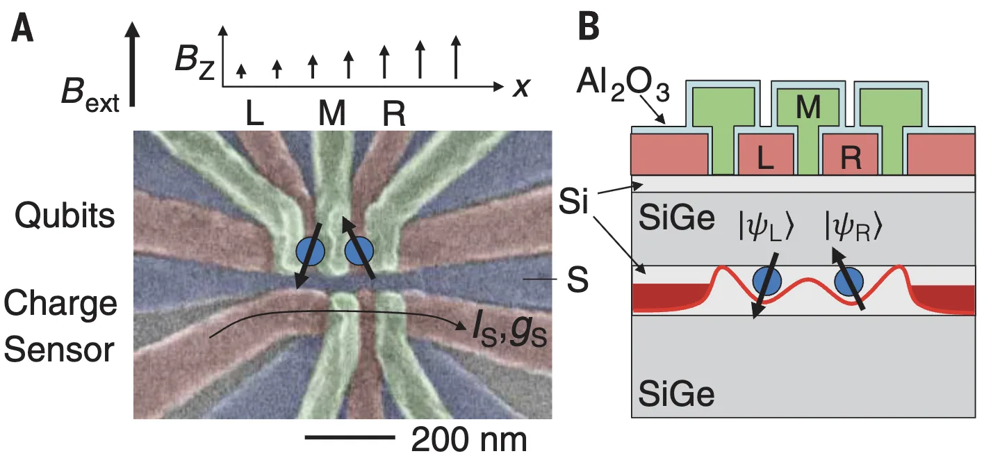 Silicon silicon-germanium double quantum dot with two electron spin qubits and a micromagnet gradient